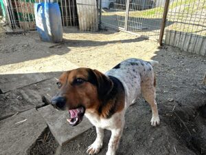 WhatsApp Image 2026-03-11 at 10.36.43 (2)