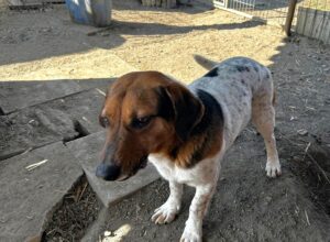 WhatsApp Image 2026-03-11 at 10.36.43 (3)