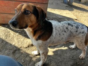 WhatsApp Image 2026-03-11 at 10.36.44 (2)