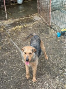 WhatsApp Image 2026-03-17 at 08.12.21 (1)