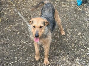 WhatsApp Image 2026-03-17 at 08.12.21 (1)a