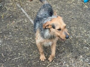 WhatsApp Image 2026-03-17 at 08.12.21 (2)a