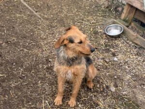 WhatsApp Image 2026-03-17 at 08.12.22 (1)