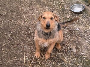 WhatsApp Image 2026-03-17 at 08.12.22