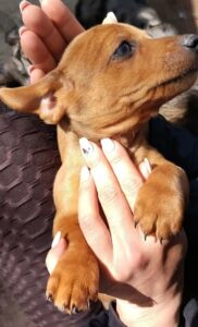 WhatsApp Image 2026-03-18 at 16.48.05