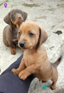 WhatsApp Image 2026-03-18 at 16.49.14