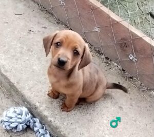 WhatsApp Image 2026-03-18 at 16.50.04