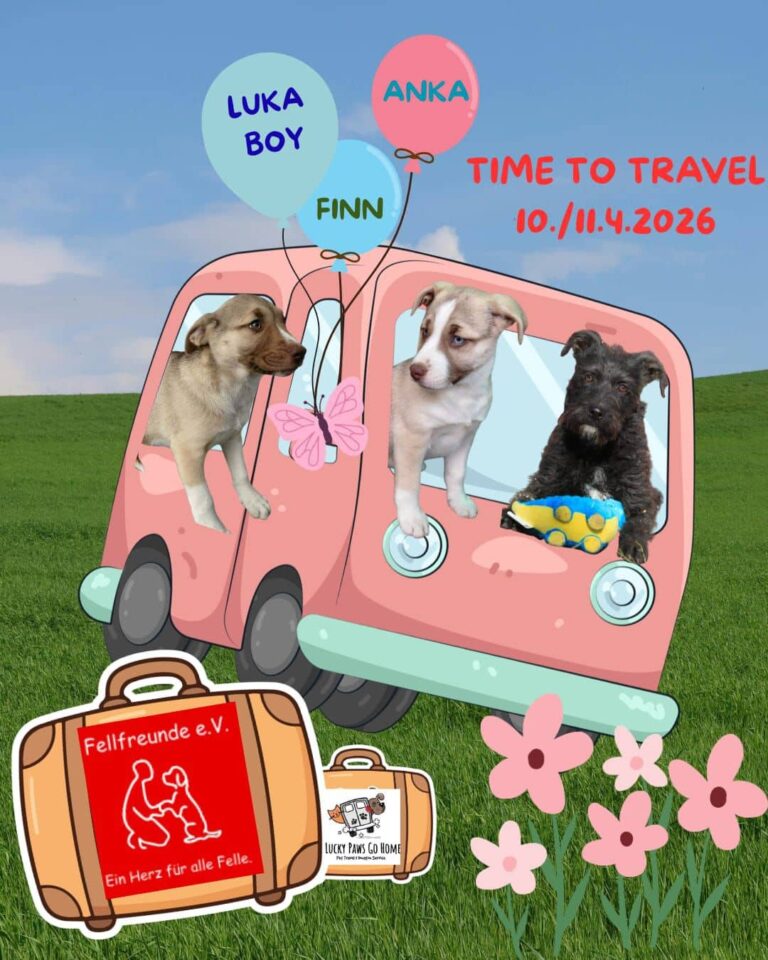 Fellfreunde Start 16 Fellfreunde Start