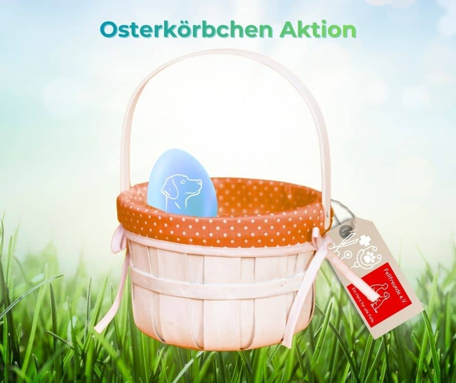 Fellfreunde Der erste Schritt in ein neues Leben