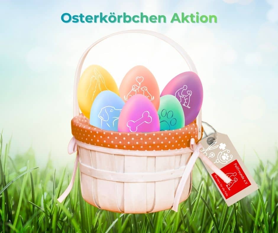 Fellfreunde Start 1 Fellfreunde Start