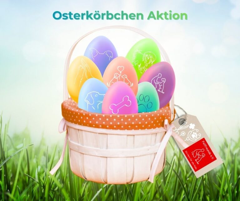 Fellfreunde Start 16 Fellfreunde Start