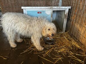 WhatsApp Image 2026-03-10 at 08.45.48 (1)