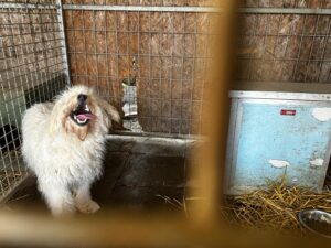 WhatsApp Image 2026-03-10 at 08.45.49 (1)