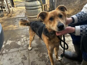 WhatsApp Image 2026-03-17 at 10.14.55