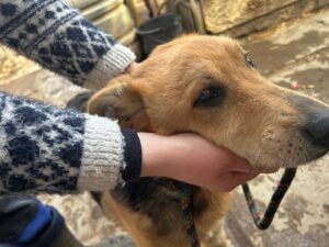 WhatsApp Image 2026-03-17 at 10.15.09