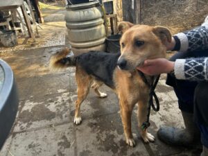 WhatsApp Image 2026-03-17 at 10.16.00