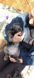 WhatsApp Image 2026-03-18 at 16.48.14