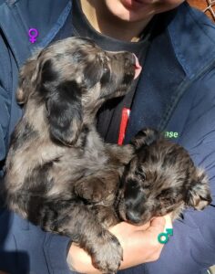 WhatsApp Image 2026-03-18 at 16.48.36