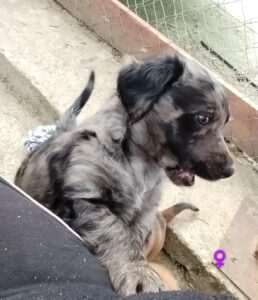 WhatsApp Image 2026-03-18 at 16.49.49