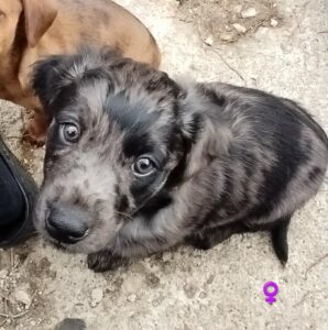 WhatsApp Image 2026-03-18 at 16.50.30