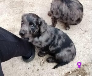 WhatsApp Image 2026-03-18 at 16.50.44