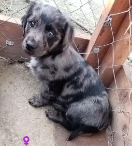 WhatsApp Image 2026-03-18 at 16.50.54