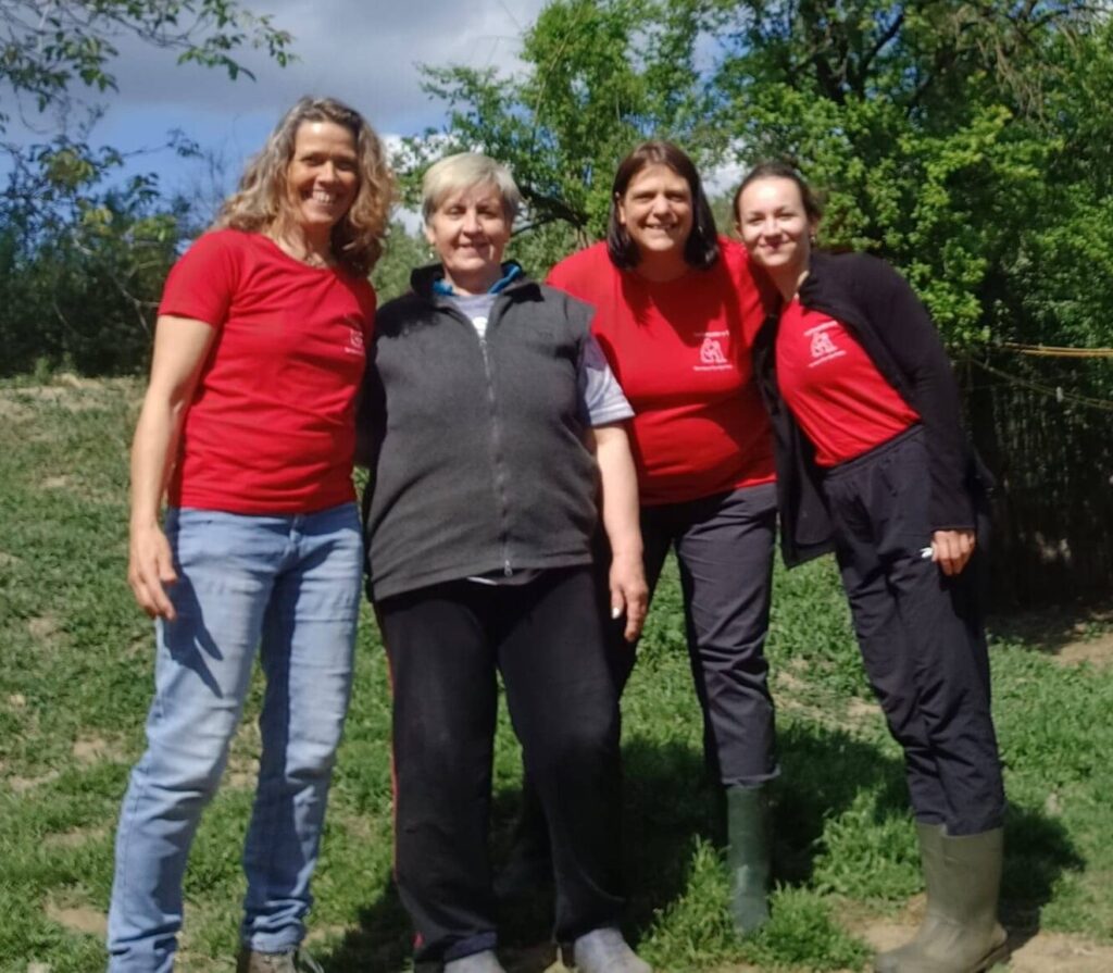 Fellfreunde Unterwegs für Hund und Herz: Ulrike, Manuela und Tierärztin Sydney sind in Gyula