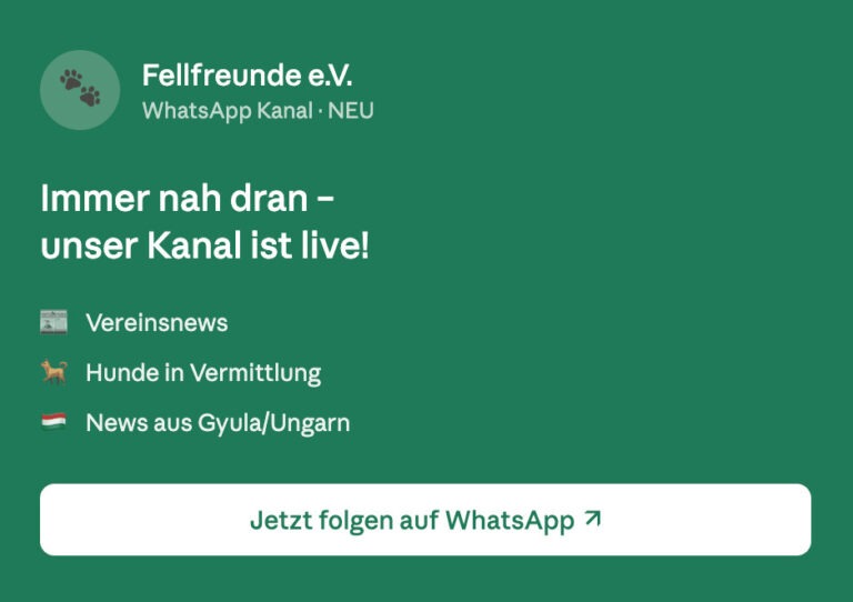 Fellfreunde Start