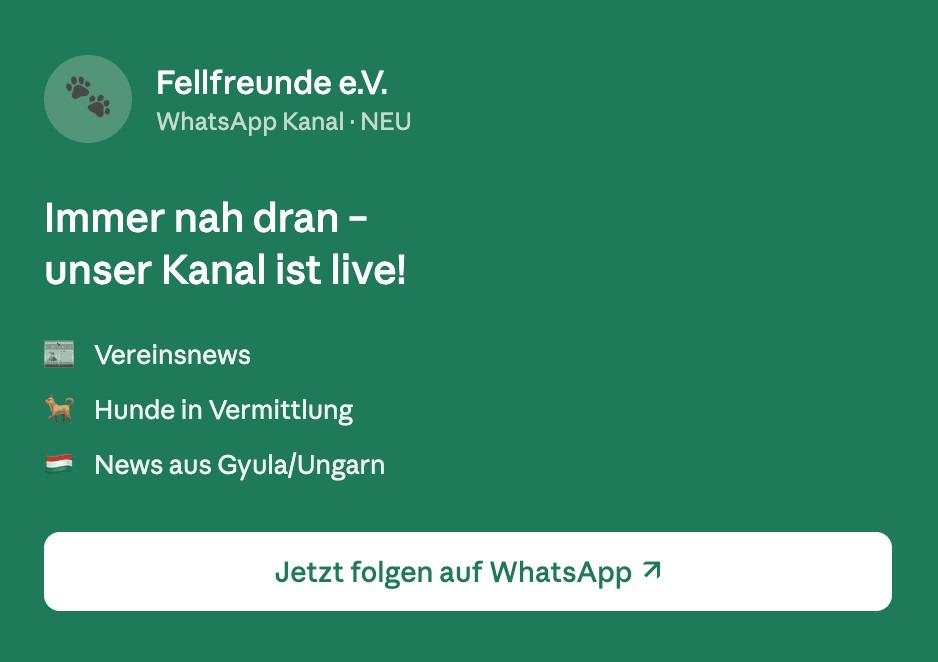 Fellfreunde Start