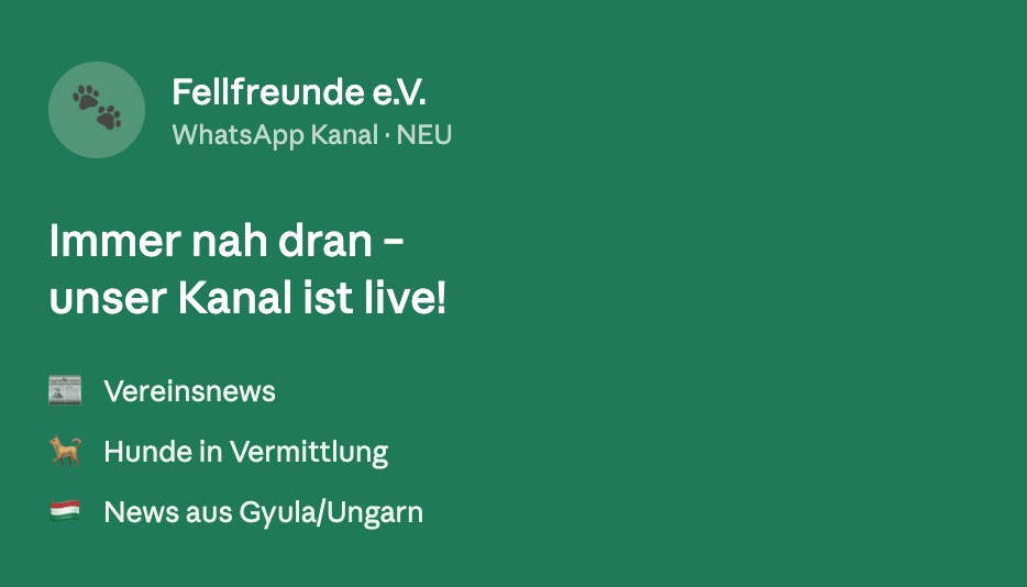 Fellfreunde Immer nah dran – unser WhatsApp-Kanal ist live!