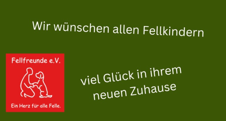 Fellfreunde Start 16 Fellfreunde Start