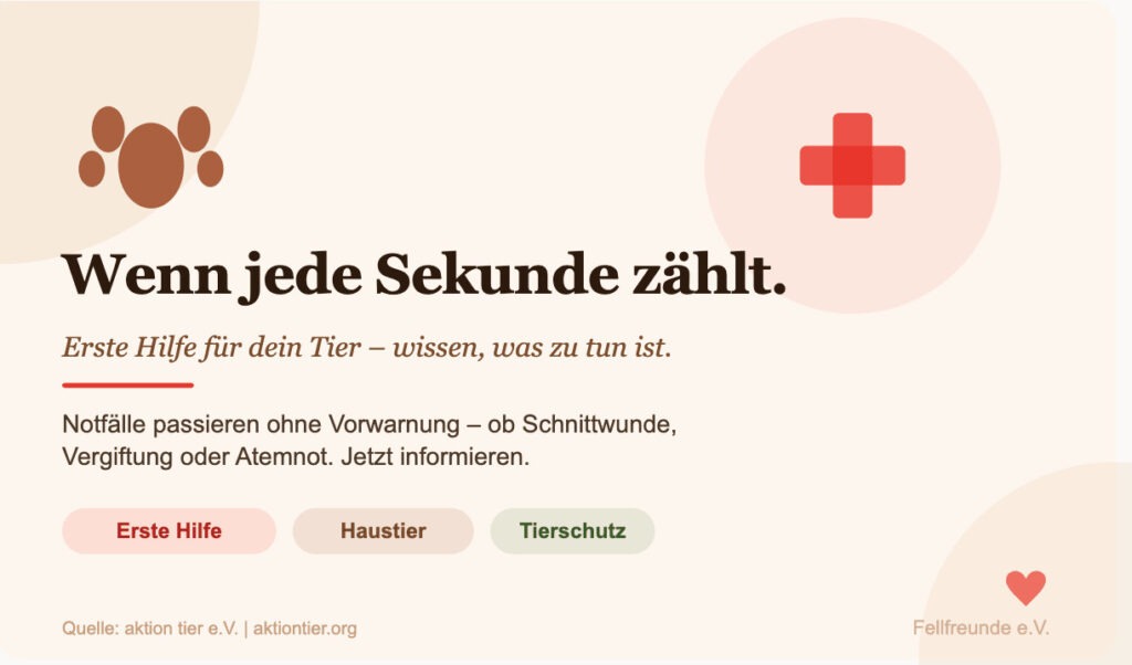 Fellfreunde Wusstest du, was du tun kannst, wenn dein Tier plötzlich in Not gerät?