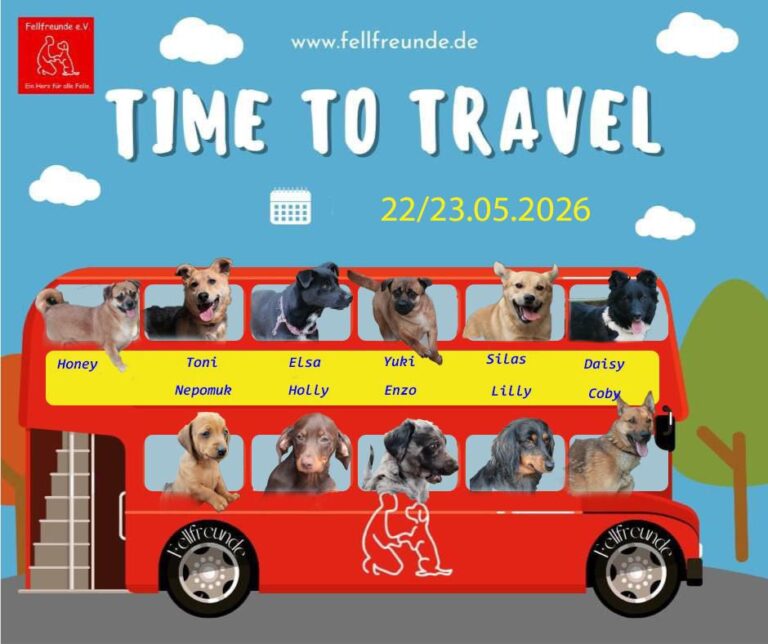Fellfreunde Start 16 Fellfreunde Start