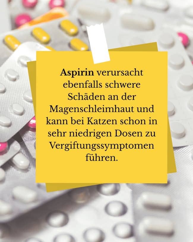 Fellfreunde Finger weg von der Hausapotheke – gut gemeint ist nicht immer gut gemacht!