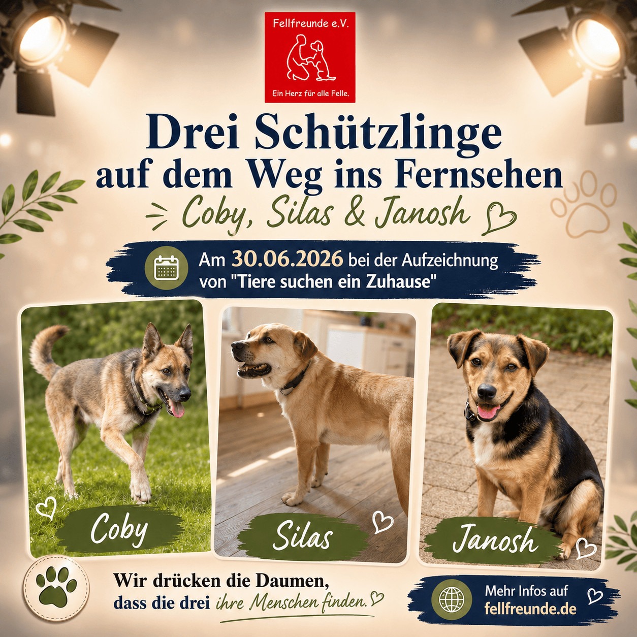 Fellfreunde Start