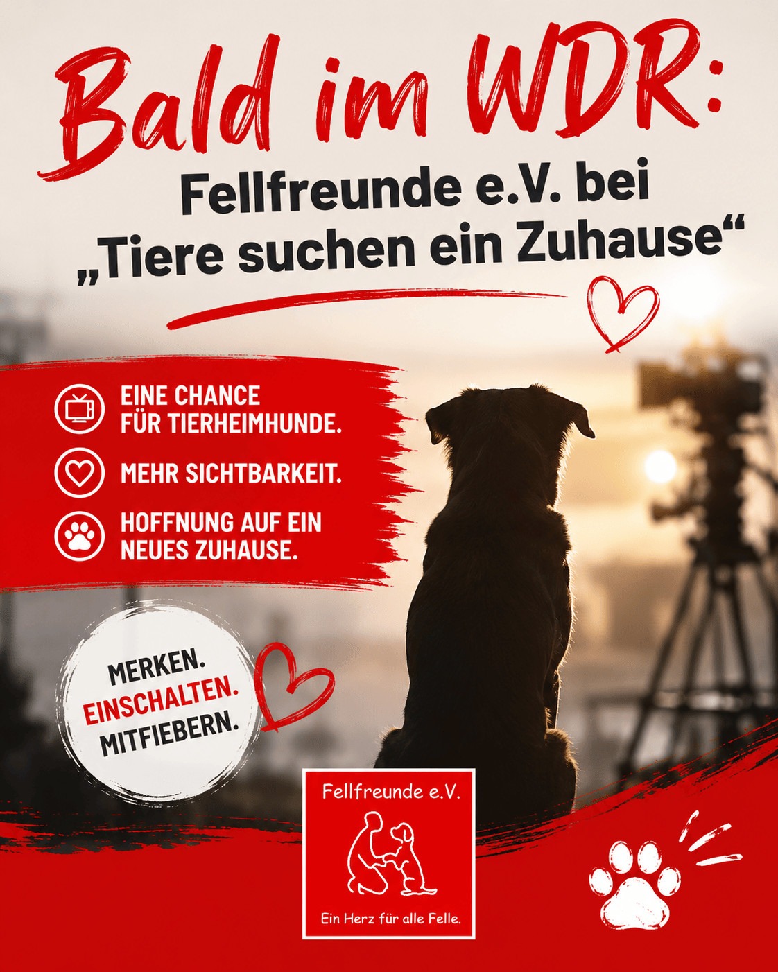 Fellfreunde The Wuff Street Journal