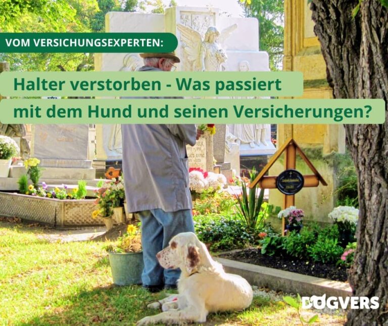Fellfreunde Start