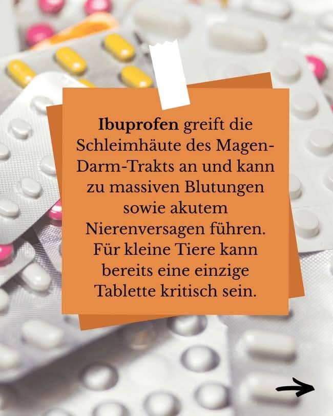 Fellfreunde Finger weg von der Hausapotheke – gut gemeint ist nicht immer gut gemacht!