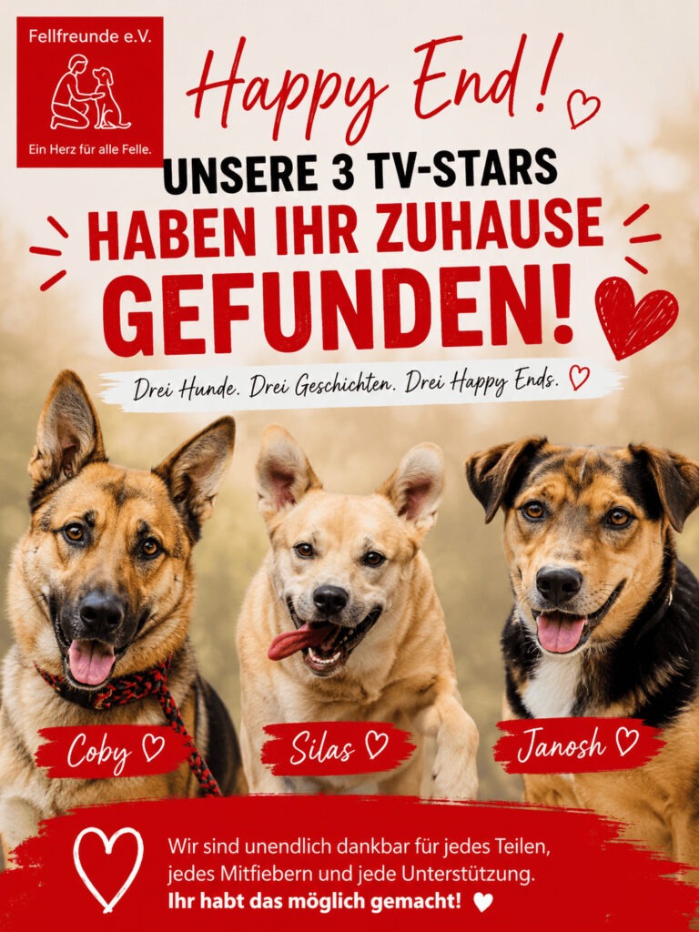Fellfreunde Start 16 Fellfreunde Start