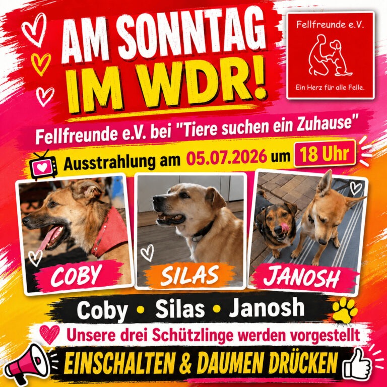 Fellfreunde Start