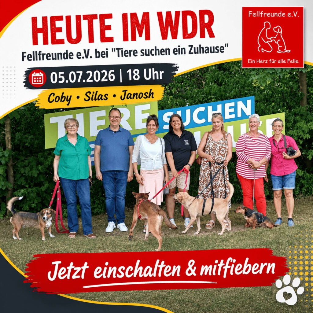 Fellfreunde Heute zählt jeder Blick: Coby, Silas und Janosh im WDR