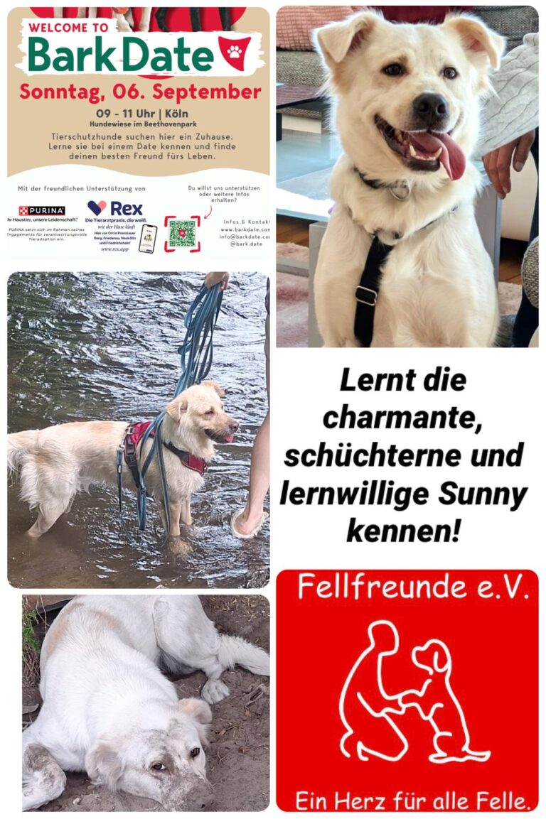 Fellfreunde Start 16 Fellfreunde Start
