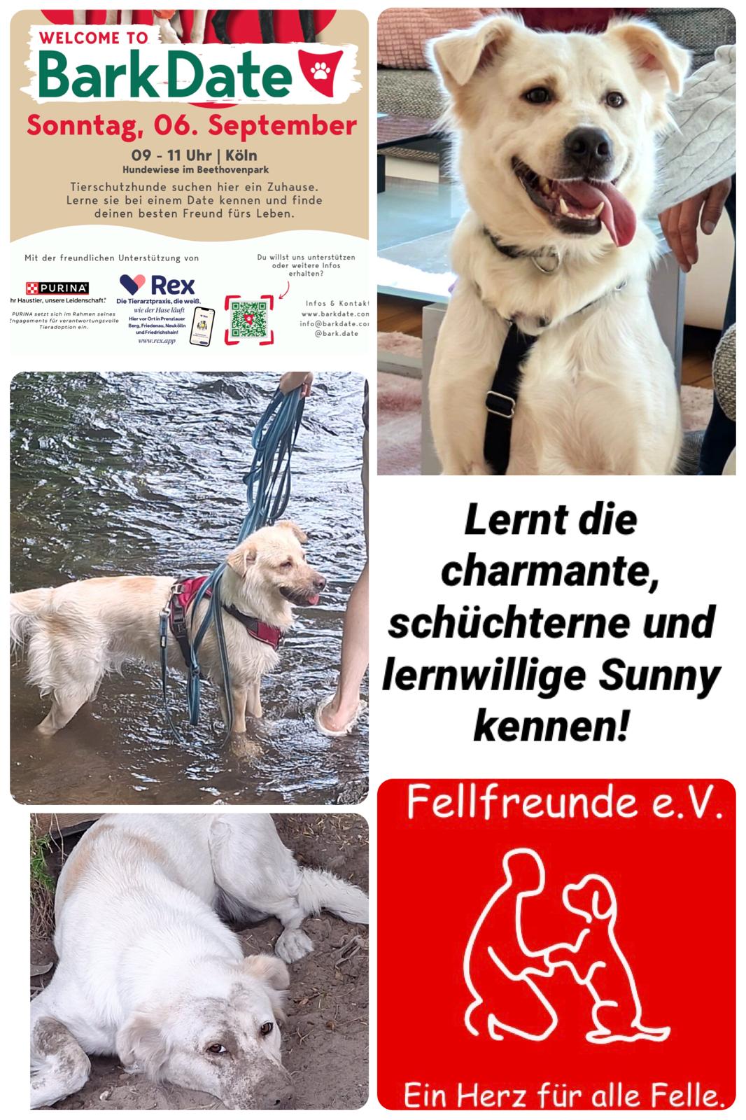 Fellfreunde Start 1 Fellfreunde Start