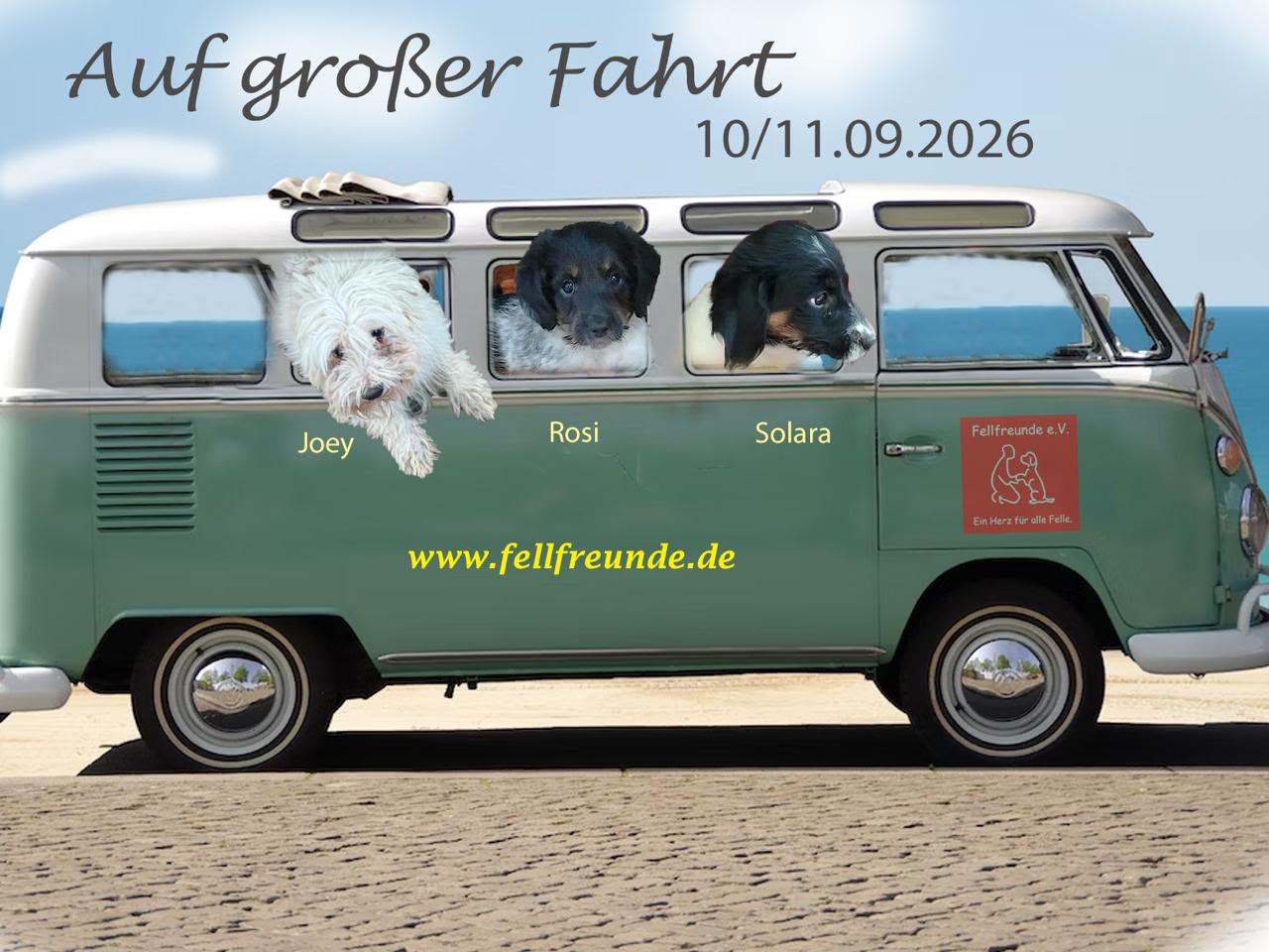 Fellfreunde Start