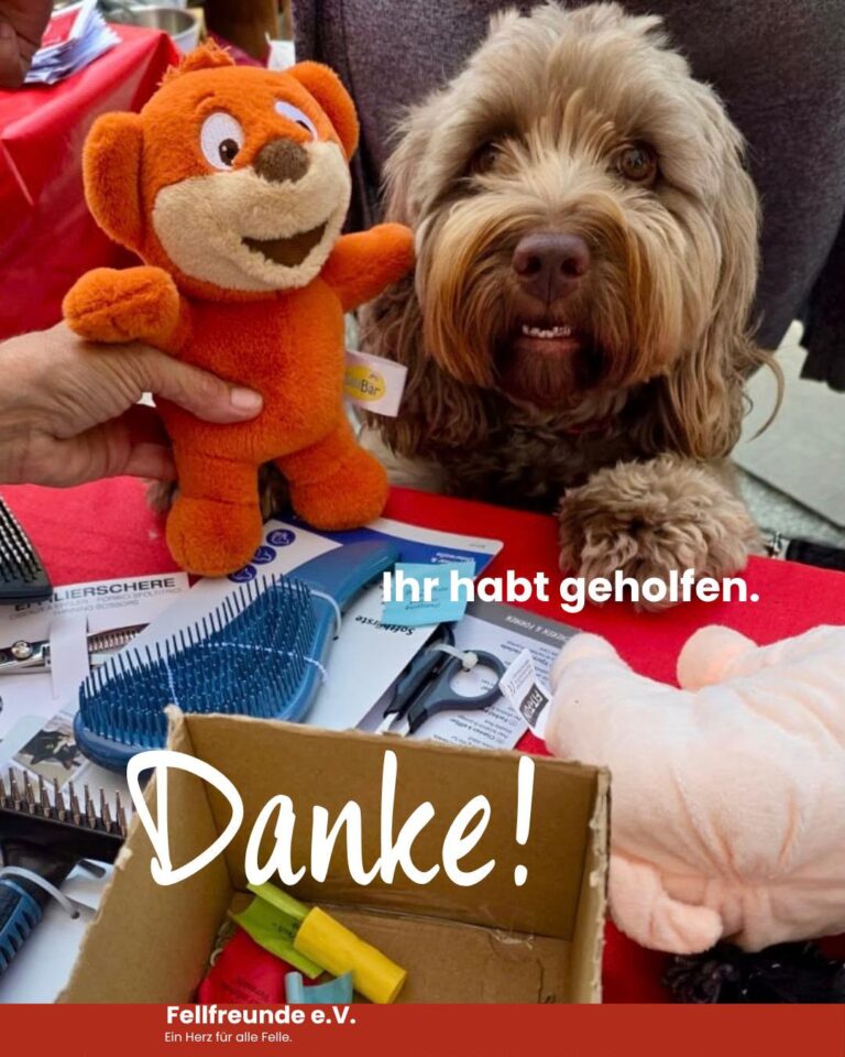 Fellfreunde Start