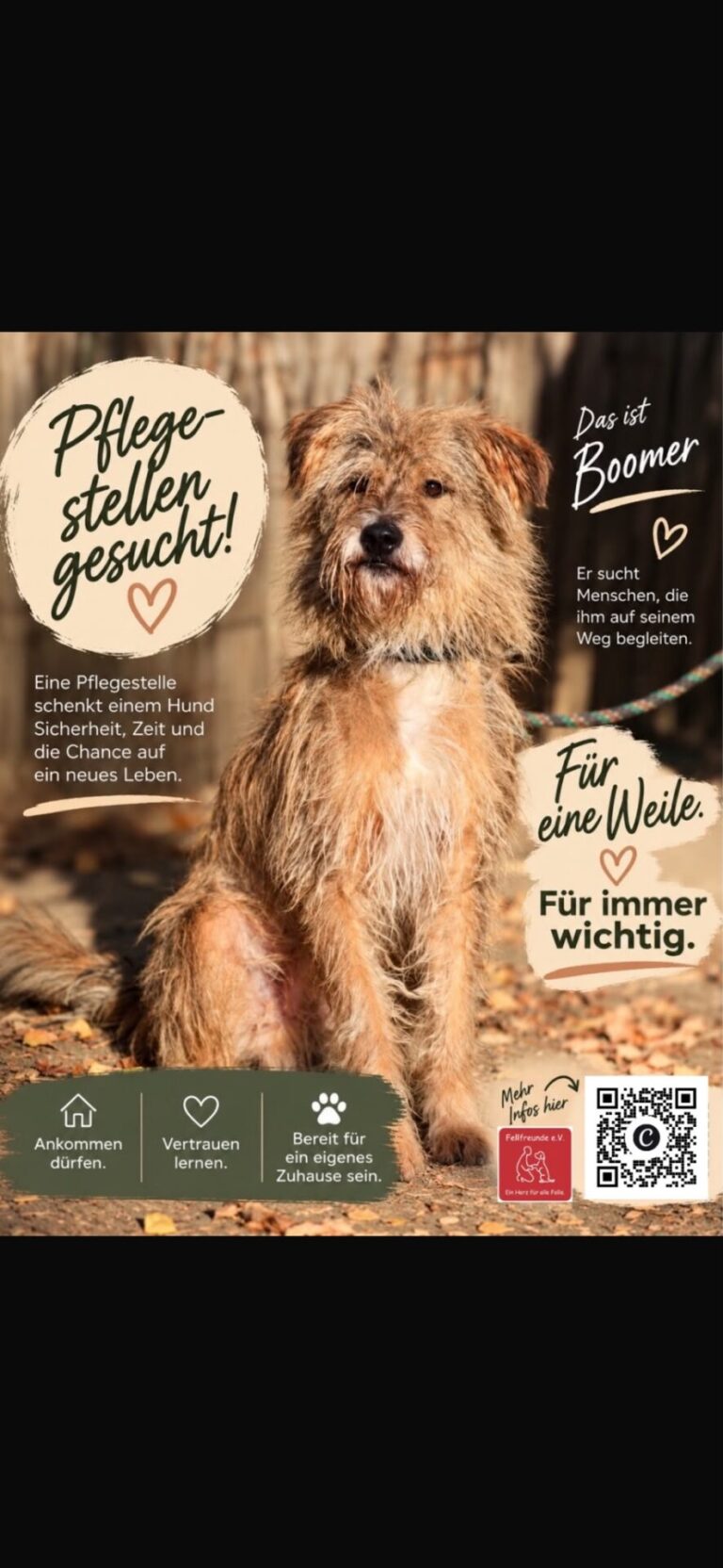Fellfreunde Start 16 Fellfreunde Start