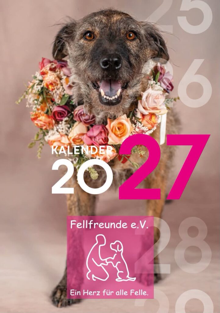 Fellfreunde 12 Fellkinder. 12 Geschichten. Ein Kalender voller Herzensmomente.