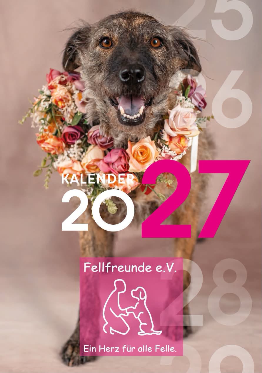 Fellfreunde Start