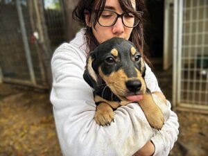 Rüdc