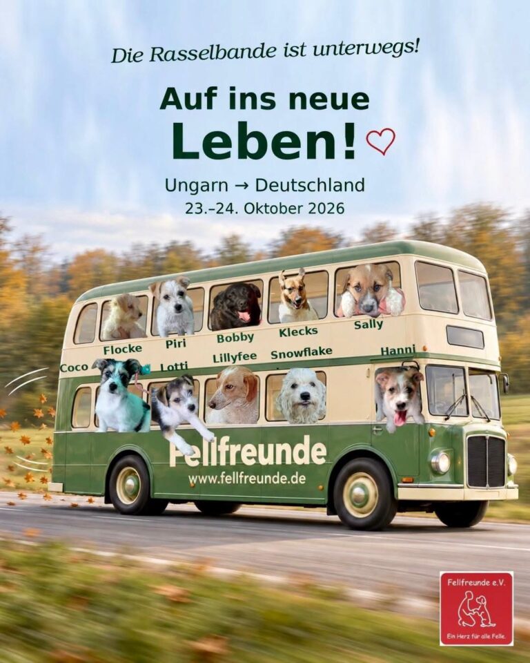 Fellfreunde Start
